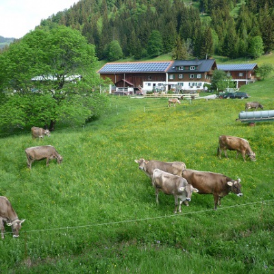 Unser liebes Vieh und Pferde