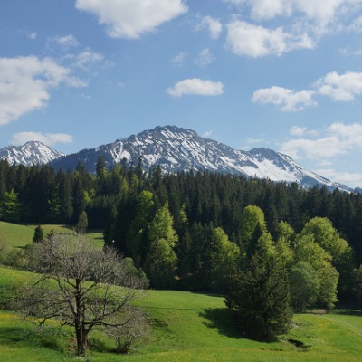 Blick aus dem Alpennest