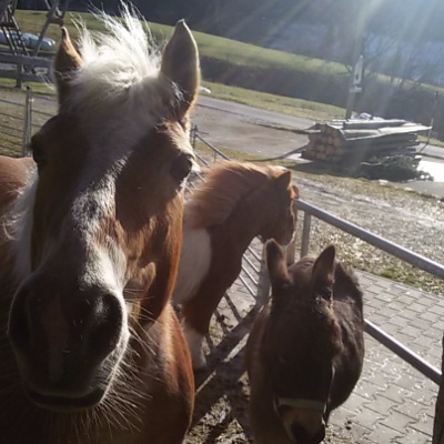Unsere 3 Stars: Gerta, Leonie, Kira