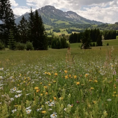 Ruhe und Erholung