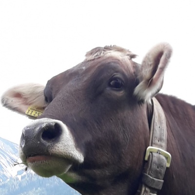 Was kuckst du?