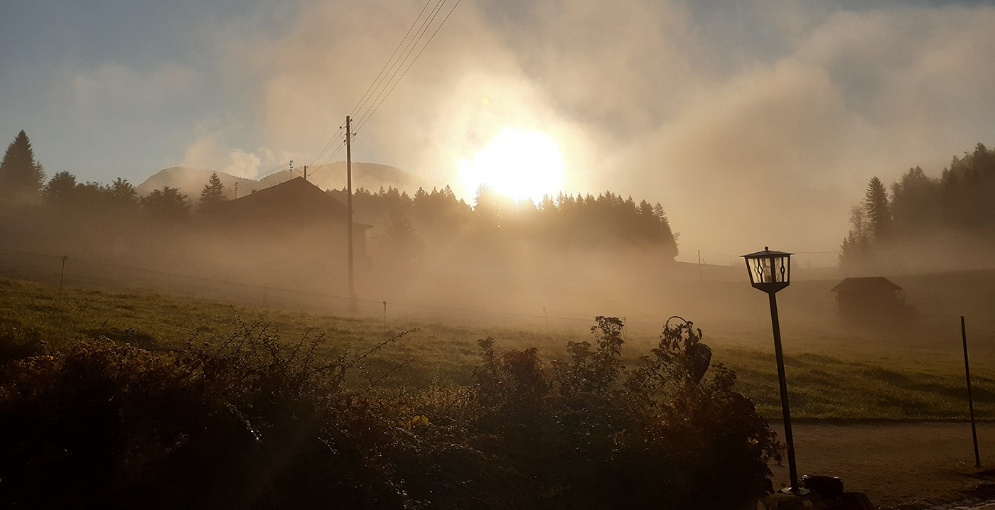 20201019_084230-1400x718.jpg
